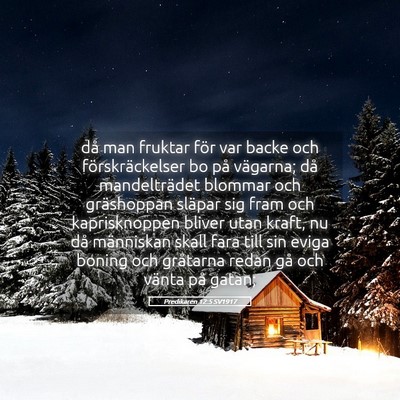 Picture 05 - Predikaren 12:5 SV1917 - då man fruktar för var backe och - Bible Verse Picture