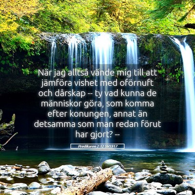 Picture 05 - Predikaren 2:12 SV1917 - När jag alltså vände mig till att jämföra - Bible Verse Picture