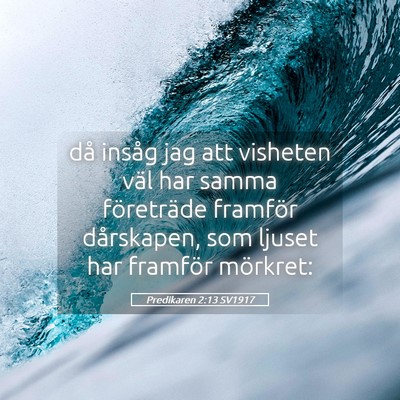 Picture 05 - Predikaren 2:13 SV1917 - då insåg jag att visheten väl har samma - Bible Verse Picture