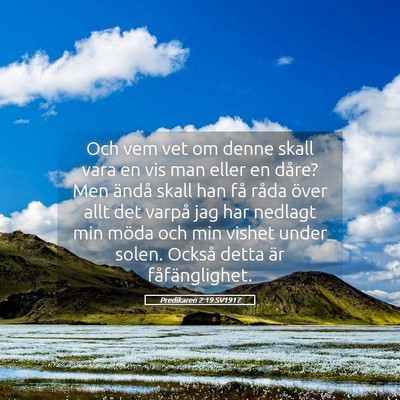 Picture 05 - Predikaren 2:19 SV1917 - Och vem vet om denne skall vara en vis man eller - Bible Verse Picture