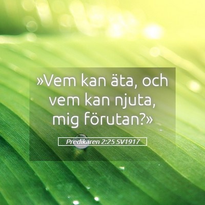 Picture 05 - Predikaren 2:25 SV1917 - »Vem kan äta, och vem kan njuta, mig - Bible Verse Picture