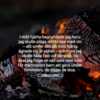 Picture 05 - Predikaren 2:3 SV1917 - I mitt hjärta begrundade jag huru jag skulle - Bible Verse Picture