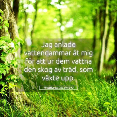 Picture 05 - Predikaren 2:6 SV1917 - Jag anlade vattendammar åt mig för att ur dem - Bible Verse Picture