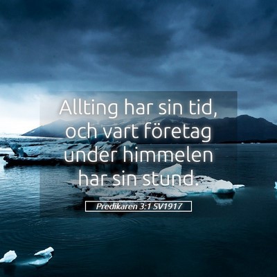 Picture 05 - Predikaren 3:1 SV1917 - Allting har sin tid, och vart företag under - Bible Verse Picture