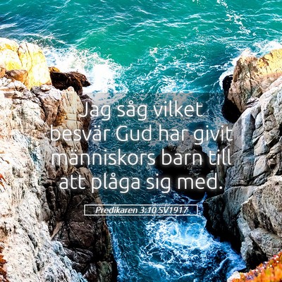 Picture 05 - Predikaren 3:10 SV1917 - Jag såg vilket besvär Gud har givit människors - Bible Verse Picture