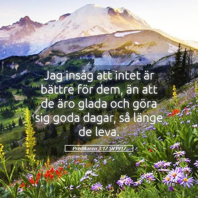 Picture 05 - Predikaren 3:12 SV1917 - Jag insåg att intet är bättre för dem, än - Bible Verse Picture
