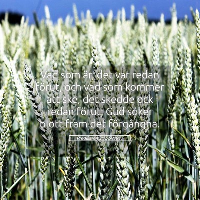Picture 05 - Predikaren 3:15 SV1917 - Vad som är, det var redan förut, och vad som - Bible Verse Picture