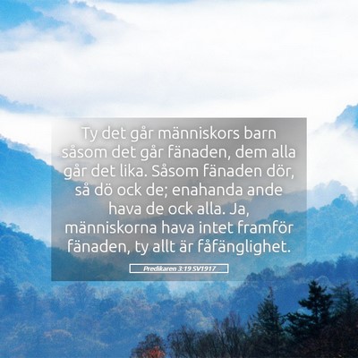 Picture 05 - Predikaren 3:19 SV1917 - Ty det går människors barn såsom det går - Bible Verse Picture