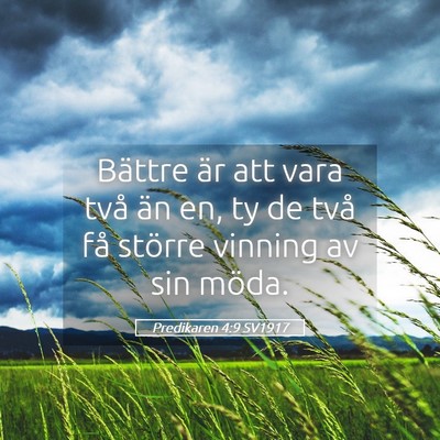 Picture 05 - Predikaren 4:9 SV1917 - Bättre är att vara två än en, ty de två få - Bible Verse Picture