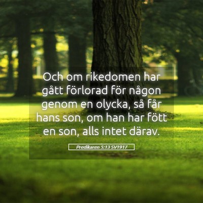 Picture 05 - Predikaren 5:13 SV1917 - Och om rikedomen har gått förlorad för någon - Bible Verse Picture