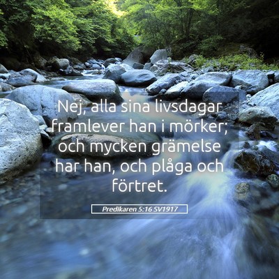 Picture 05 - Predikaren 5:16 SV1917 - Nej, alla sina livsdagar framlever han i mörker; - Bible Verse Picture