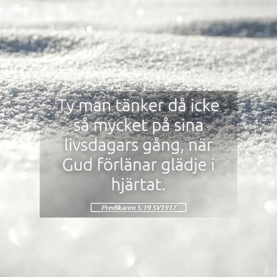 Picture 05 - Predikaren 5:19 SV1917 - Ty man tänker då icke så mycket på sina - Bible Verse Picture