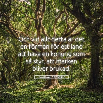 Picture 05 - Predikaren 5:8 SV1917 - Och vid allt detta är det en förmån för ett - Bible Verse Picture
