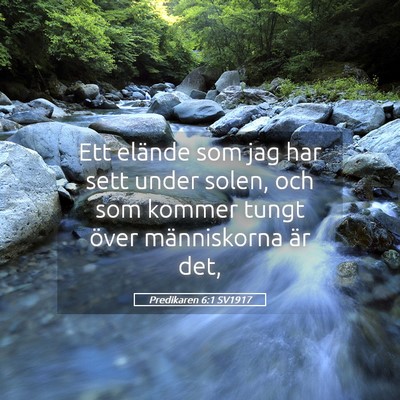Picture 05 - Predikaren 6:1 SV1917 - Ett elände som jag har sett under solen, och som - Bible Verse Picture
