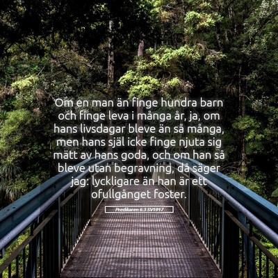 Picture 05 - Predikaren 6:3 SV1917 - Om en man än finge hundra barn och finge leva i - Bible Verse Picture