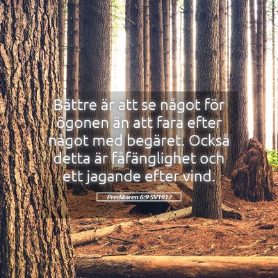 Picture 05 - Predikaren 6:9 SV1917 - Bättre är att se något för ögonen än att - Bible Verse Picture