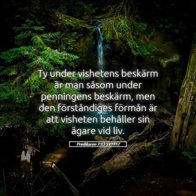 Picture 05 - Predikaren 7:13 SV1917 - Ty under vishetens beskärm är man såsom under - Bible Verse Picture