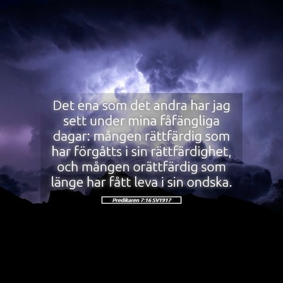 Picture 05 - Predikaren 7:16 SV1917 - Det ena som det andra har jag sett under mina - Bible Verse Picture