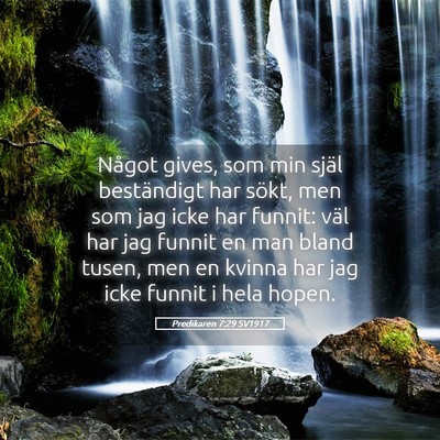 Picture 05 - Predikaren 7:29 SV1917 - Något gives, som min själ beständigt har - Bible Verse Picture