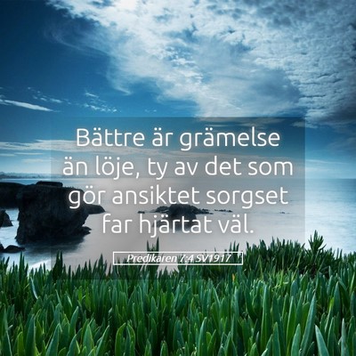 Picture 05 - Predikaren 7:4 SV1917 - Bättre är grämelse än löje, ty av det som - Bible Verse Picture