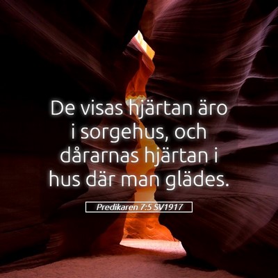 Picture 05 - Predikaren 7:5 SV1917 - De visas hjärtan äro i sorgehus, och dårarnas - Bible Verse Picture