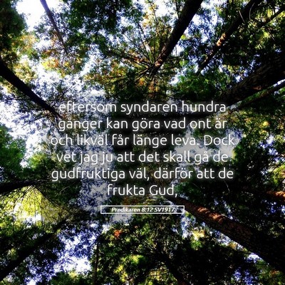 Picture 05 - Predikaren 8:12 SV1917 - eftersom syndaren hundra gånger kan göra vad - Bible Verse Picture