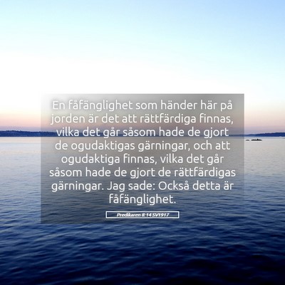 Picture 05 - Predikaren 8:14 SV1917 - En fåfänglighet som händer här på jorden är - Bible Verse Picture