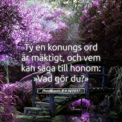 Picture 05 - Predikaren 8:4 SV1917 - Ty en konungs ord är mäktigt, och vem kan säga - Bible Verse Picture
