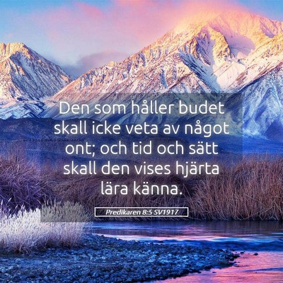 Picture 05 - Predikaren 8:5 SV1917 - Den som håller budet skall icke veta av något - Bible Verse Picture