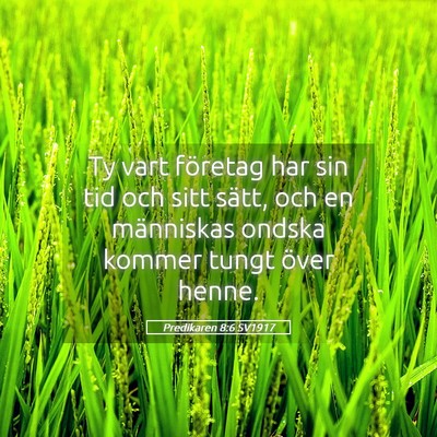 Picture 05 - Predikaren 8:6 SV1917 - Ty vart företag har sin tid och sitt sätt, och - Bible Verse Picture