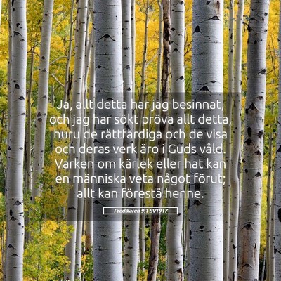 Picture 05 - Predikaren 9:1 SV1917 - Ja, allt detta har jag besinnat, och jag har - Bible Verse Picture