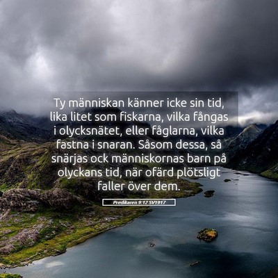 Picture 05 - Predikaren 9:12 SV1917 - Ty människan känner icke sin tid, lika litet - Bible Verse Picture
