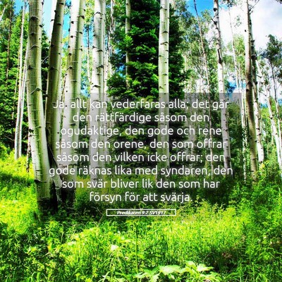 Picture 05 - Predikaren 9:2 SV1917 - Ja, allt kan vederfaras alla; det går den - Bible Verse Picture