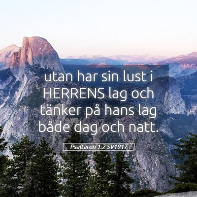 Picture 05 - Psaltaren 1:2 SV1917 - utan har sin lust i HERRENS lag och tänker på - Bible Verse Picture