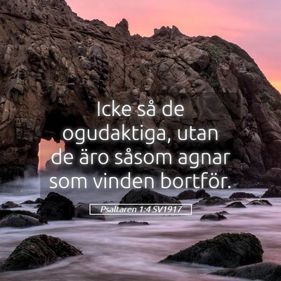 Picture 05 - Psaltaren 1:4 SV1917 - Icke så de ogudaktiga, utan de äro såsom agnar - Bible Verse Picture