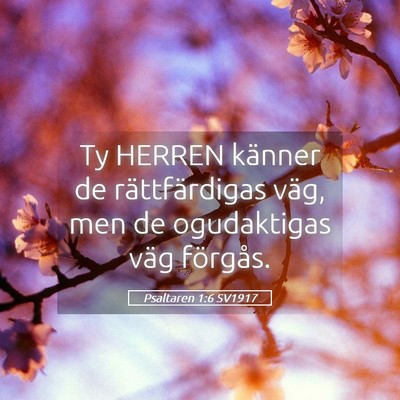Picture 05 - Psaltaren 1:6 SV1917 - Ty HERREN känner de rättfärdigas väg, men de - Bible Verse Picture