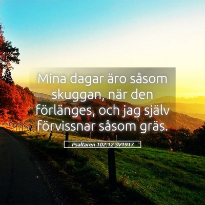 Picture 05 - Psaltaren 102:12 SV1917 - Mina dagar äro såsom skuggan, när den - Bible Verse Picture