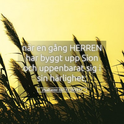 Picture 05 - Psaltaren 102:17 SV1917 - när en gång HERREN har byggt upp Sion och - Bible Verse Picture
