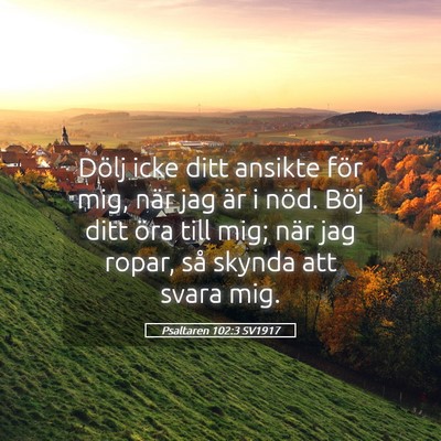 Picture 05 - Psaltaren 102:3 SV1917 - Dölj icke ditt ansikte för mig, när jag är i - Bible Verse Picture