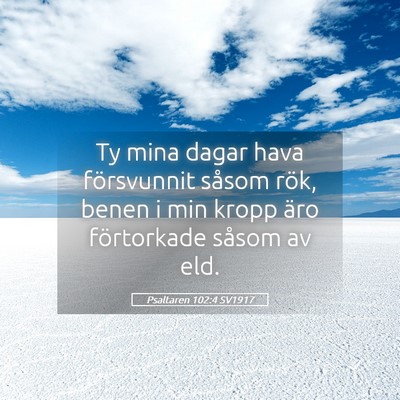 Picture 05 - Psaltaren 102:4 SV1917 - Ty mina dagar hava försvunnit såsom rök, benen - Bible Verse Picture