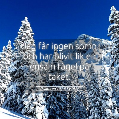 Picture 05 - Psaltaren 102:8 SV1917 - Jag får ingen sömn och har blivit lik en ensam - Bible Verse Picture