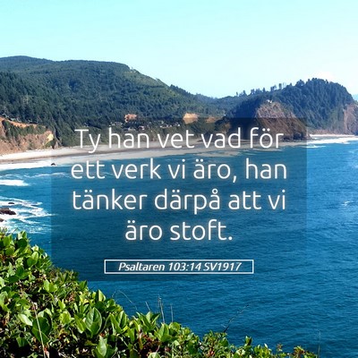 Picture 05 - Psaltaren 103:14 SV1917 - Ty han vet vad för ett verk vi äro, han tänker - Bible Verse Picture