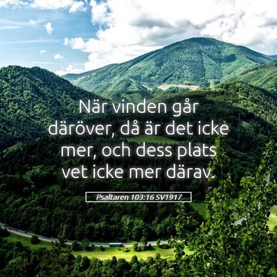 Picture 05 - Psaltaren 103:16 SV1917 - När vinden går däröver, då är det icke mer, - Bible Verse Picture