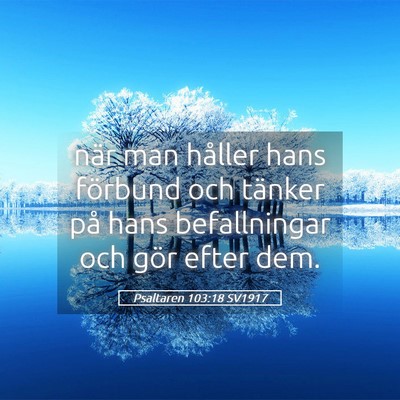 Picture 05 - Psaltaren 103:18 SV1917 - när man håller hans förbund och tänker på - Bible Verse Picture