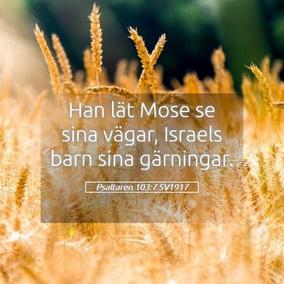 Picture 05 - Psaltaren 103:7 SV1917 - Han lät Mose se sina vägar, Israels barn sina - Bible Verse Picture