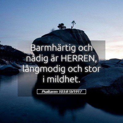 Picture 05 - Psaltaren 103:8 SV1917 - Barmhärtig och nådig är HERREN, långmodig och - Bible Verse Picture