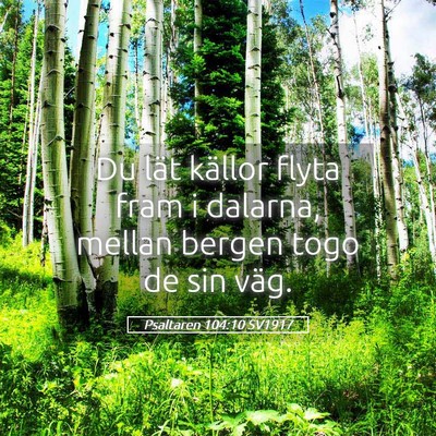 Picture 05 - Psaltaren 104:10 SV1917 - Du lät källor flyta fram i dalarna, mellan - Bible Verse Picture