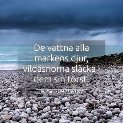 Picture 05 - Psaltaren 104:11 SV1917 - De vattna alla markens djur, vildåsnorna släcka - Bible Verse Picture