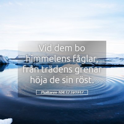 Picture 05 - Psaltaren 104:12 SV1917 - Vid dem bo himmelens fåglar, från trädens - Bible Verse Picture