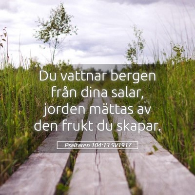 Picture 05 - Psaltaren 104:13 SV1917 - Du vattnar bergen från dina salar, jorden - Bible Verse Picture